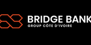 Logo_bridge_bank_cote_divoire